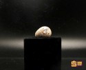 Nhẫn đính đá Moissanite 9mm